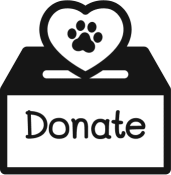 Donate Icon